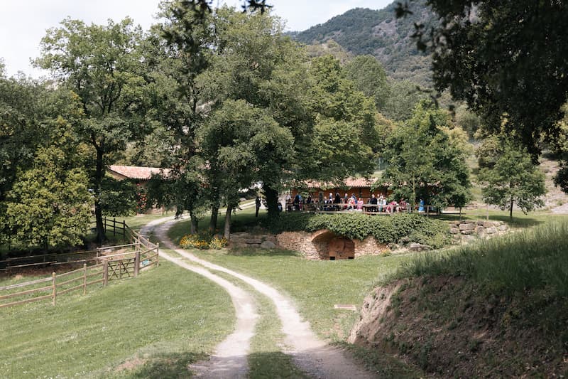 pau-julia-casament